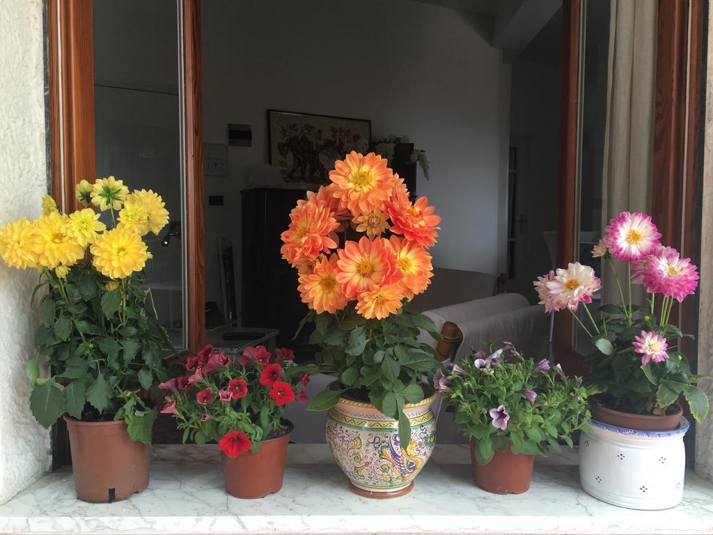 גיארדיני נאקסוס La Maison Doree מראה חיצוני תמונה